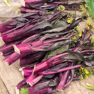 50 Red Choy Sum Seeds | Non-GMO | Heirloom Vegetable Garden Seeds image 5