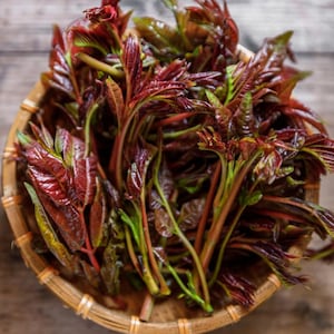 Op de afbeelding: Een rieten mand vol verse, rode en groene bladgroenten. De bladeren hebben een levendige, rood-paarse tint met groene stelen. De mand is gemaakt van lichtbruin geweven materiaal, geplaatst op een houten oppervlak.