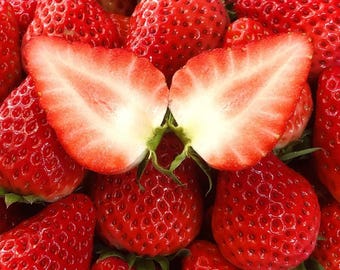 May include: A close-up of fresh, ripe strawberries. One strawberry is cut in half, revealing the juicy, white interior. The other strawberries are a vibrant red with green leaves.