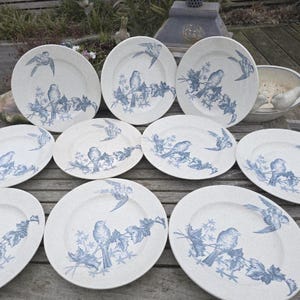 Pode incluir: Uma coleção de pratos de cerâmica branca com um design de pássaros e flores azuis. Os pratos apresentam uma ilustração detalhada de um pássaro empoleirado em um galho com folhas e pássaros voando. Os pratos estão dispostos em uma superfície de madeira.