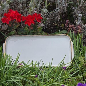 Op de afbeelding: Een rechthoekige witte serveerschaal met gouden rand en handvatten. De schaal is omgeven door groen gras, rode bloemen en ander groen. De schaal heeft een dunne gouden rand met een blauw en goud patroon.