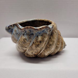 Może przedstawiać: Ceramiczna donica w kształcie muszli z spiralnym wzorem. Donica ma brązową i beżową podstawę z niebieskimi akcentami wokół krawędzi. Wnętrze jest ciemnobrązowe.