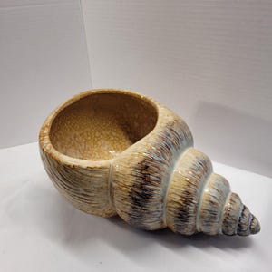 May include: A ceramic seashell planter with a wide opening. The planter is tan with brown and blue accents, and a textured surface. The spiral design is visible on the exterior. The interior is a lighter tan color.