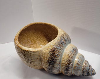 Könnte beinhalten: Ein Keramik-Muschelblumentopf. Der Topf ist beige mit braunen und blauen Akzenten und einer strukturierten Oberfläche. Das Spiraldesign ist auf der Außenseite sichtbar. Der Innenraum ist hellbeige. Die Öffnung ist breit.