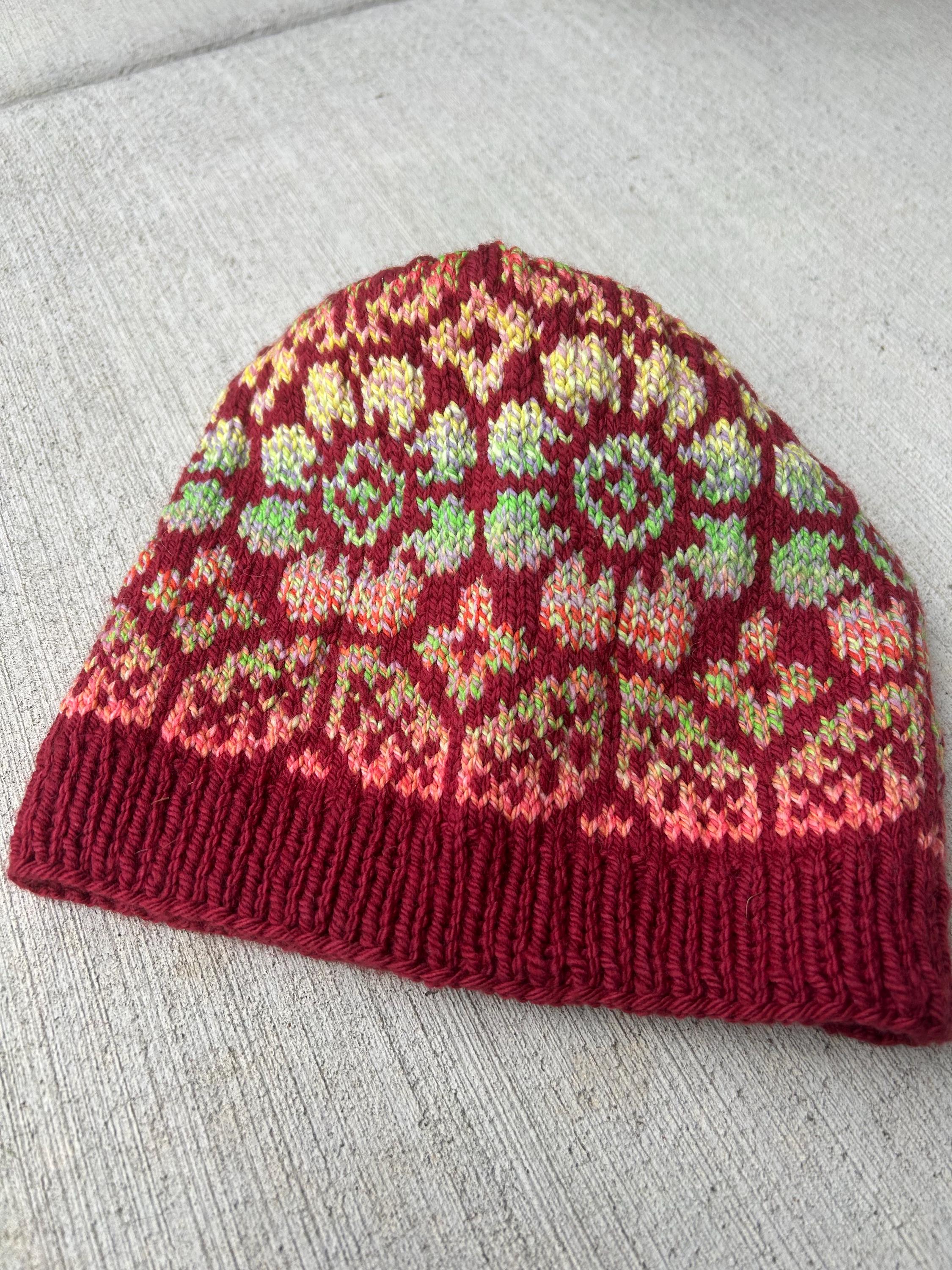 Alpine Bloom Pattern Hat for Winter, Women display picture 2