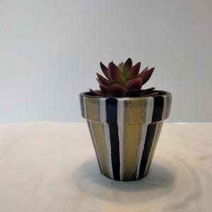 May include: A small decorative succulent plant in a striped pot. The pot has vertical stripes in gold, navy blue, and white. The succulent has deep red and green leaves. The pot is approximately 4 inches tall.