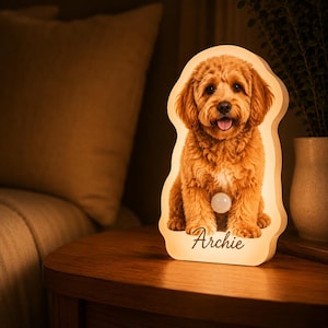 May include: A custom-shaped LED night light featuring a high-resolution photographic print of a golden-brown doodle dog. The lamp emits a warm glow and includes a small circular power button on the front, with the name Archie printed in black script.