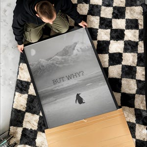 Puede incluir: Una impresión en blanco y negro enmarcada que presenta un pingüino en un paisaje nevado con montañas y el texto "BUT WHY?". La impresión se sostiene sobre una alfombra a cuadros en blanco y negro.