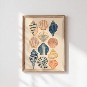 Op de afbeelding: Een ingelijste kunstdruk met een verzameling van elf geïllustreerde schelpen gerangschikt in een raster. De schelpen zijn weergegeven in tinten marineblauw, oranje en crème, met diverse texturen, patronen en vormen op een lichte achtergrond.