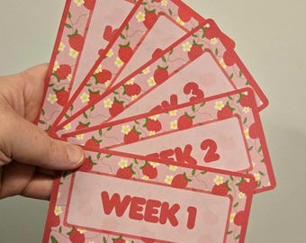 Weekly Wallet Inserts | Cash Stuffing Binder | Week 1 to 5 Dashboards