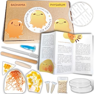 May include: A Physarum polycephalum starter kit in a brown box. The kit includes a white plastic grid, a blue pipette, wooden sticks, and petri dishes. The box has a cartoon illustration of a yellow blob.