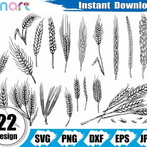 Handgetekende Graan Svg Bundel, Tarwe svg, gerst svg, Boerderij svg clipart vector png dxf eps stencil cut file voor silhouette cricut vinyl file logo