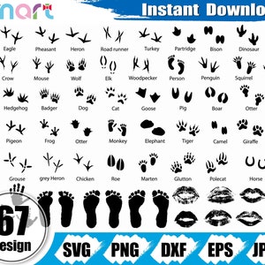 Footprint Svg Bundle, Foot svg, Feet svg, Animal footprints svg clipart vector png dxf eps stencil cut file per Cameo silhouette cricut vinyl
