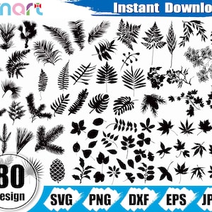 Hojas Svg Bundle, Leaf svg, Pine Palm Coconut Leaves svg clipart vector svg png dxf eps stencil cut archivo para Cameo silueta cricut vinilo