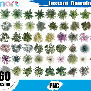 Imágenes prediseñadas de la vista del plano del árbol, PNG del árbol del paisaje, imágenes prediseñadas del árbol plano, vista superior de la planta, archivo PNG de la vista superior del árbol