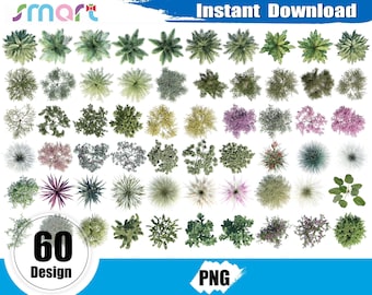 Tree Plan View clipart, Landscape tree PNG, Flat tree clipart, Plant Top View, Tree Top View PNG file