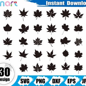 Può includere: Una collezione di 30 disegni di foglie nere in varie forme e stili. L'immagine include il testo "Download istantaneo" e le opzioni di tipo di file: SVG, PNG, DXF, EPS e JPEG. La parola "Design" è anche visibile.