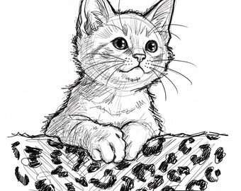 Custom Pet Doodle Portrait from Photo, Personalized Dog or Cat Illustration Digital Download