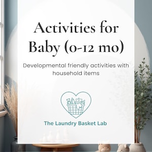 May include: A promotional image with text that reads "Activities for Baby (0-12 mo)" and "Developmental friendly activities with household items." The Laundry Basket Lab logo is also present. The image has a light blue background with a small wooden table and stuffed animals.