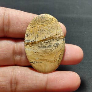以下が含まれることがあります： 楕円形の宝石。ベージュ、茶色、黒の自然な模様。研磨された表面は、ユニークな縞模様と色のバリエーションを示しています。宝石は手で持たれており、そのサイズと形状を強調しています。ジュエリー作りやコレクションに最適です。
