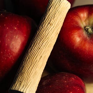 Appelhouten kauwstick | Natuurlijk speelgoed voor konijnen, chinchilla's en kleine dieren | Eco-huisdierverrijking