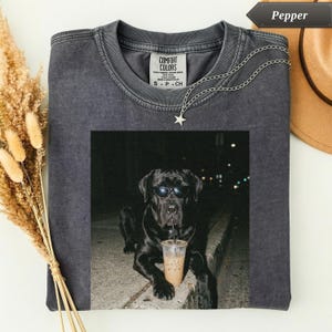 May include: Dark grey Comfort Colors t-shirt featuring a graphic of a black dog wearing sunglasses and drinking from a clear cup with a straw. A silver chain with a star pendant is draped on the shirt. The shirt is folded on a white surface.