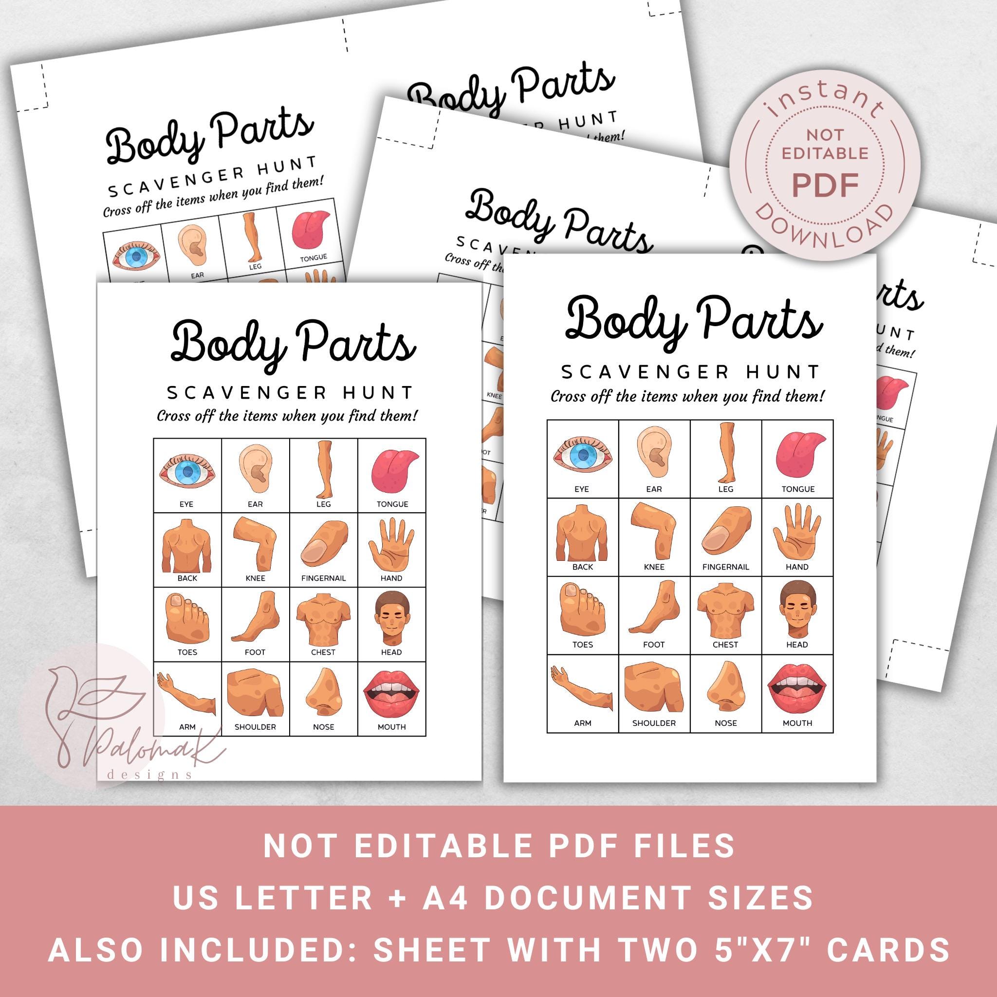 Human Body Parts Scavenger Hunt Activity for Kids (PDF Download) - Etsy