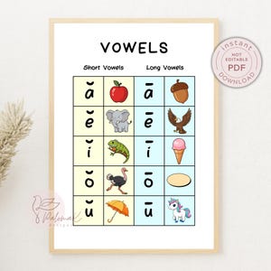 May include: Educational poster with the title "VOWELS" in black text. The poster features a grid with short and long vowel sounds, each paired with a corresponding image, such as an apple for the short "a" sound. The poster is framed in a light wood color.