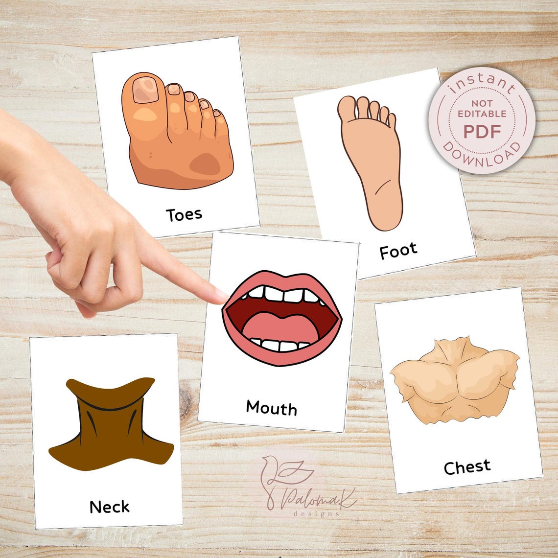 Printable Human Body Parts Flashcards (PDF Download) - Etsy