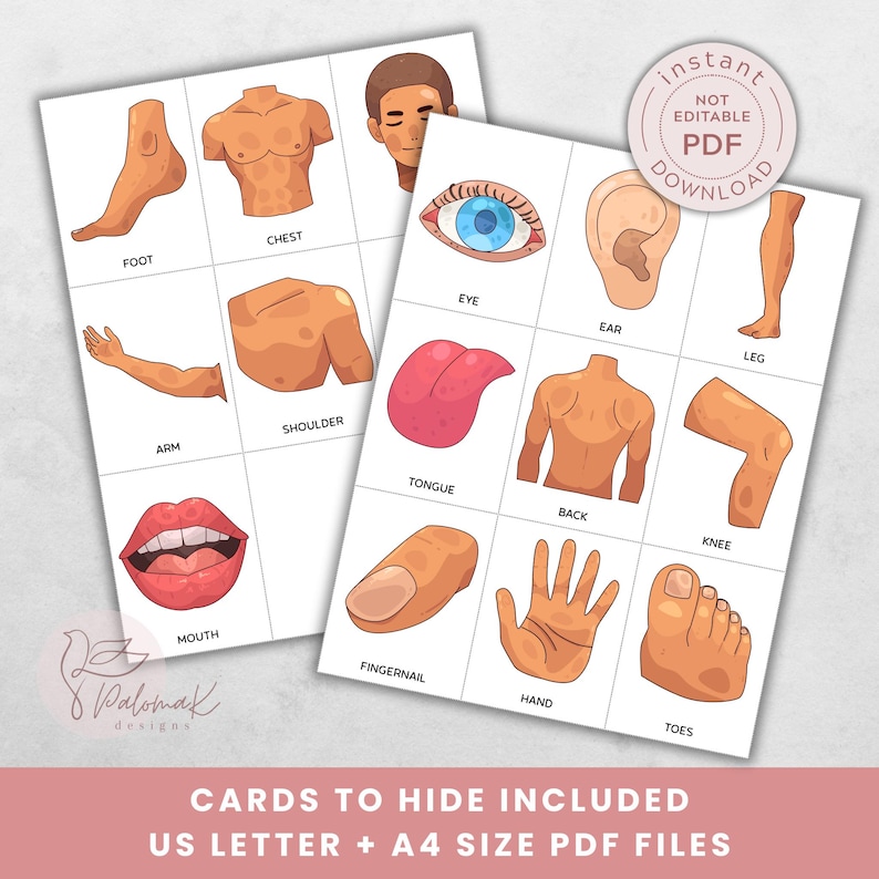 Human Body Parts Scavenger Hunt Activity for Kids (PDF Download) - Etsy