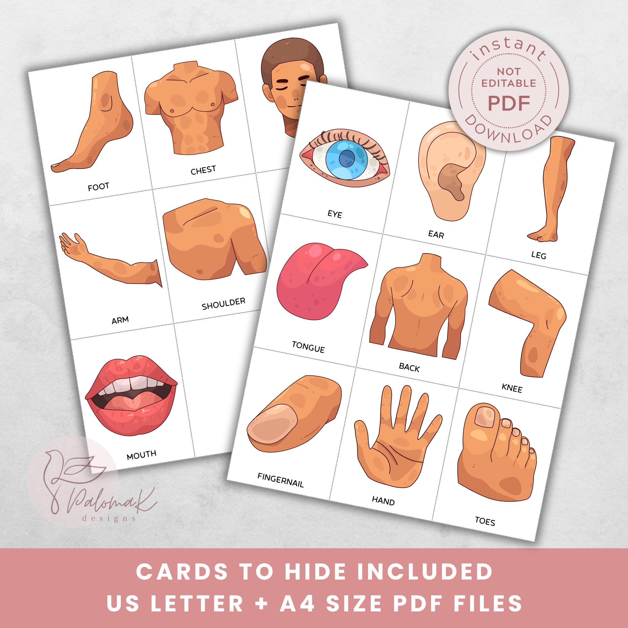Human Body Parts Scavenger Hunt Activity for Kids (PDF Download) - Etsy