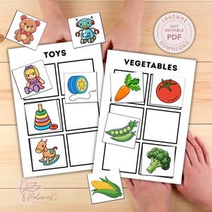 May include: A printable educational game with the words "TOYS" and "VEGETABLES" on separate sheets. The "TOYS" sheet features illustrations of a teddy bear, robot, doll, yo-yo, stacking rings, and rocking horse. The "VEGETABLES" sheet shows a carrot, tomato, peas, broccoli, and corn.