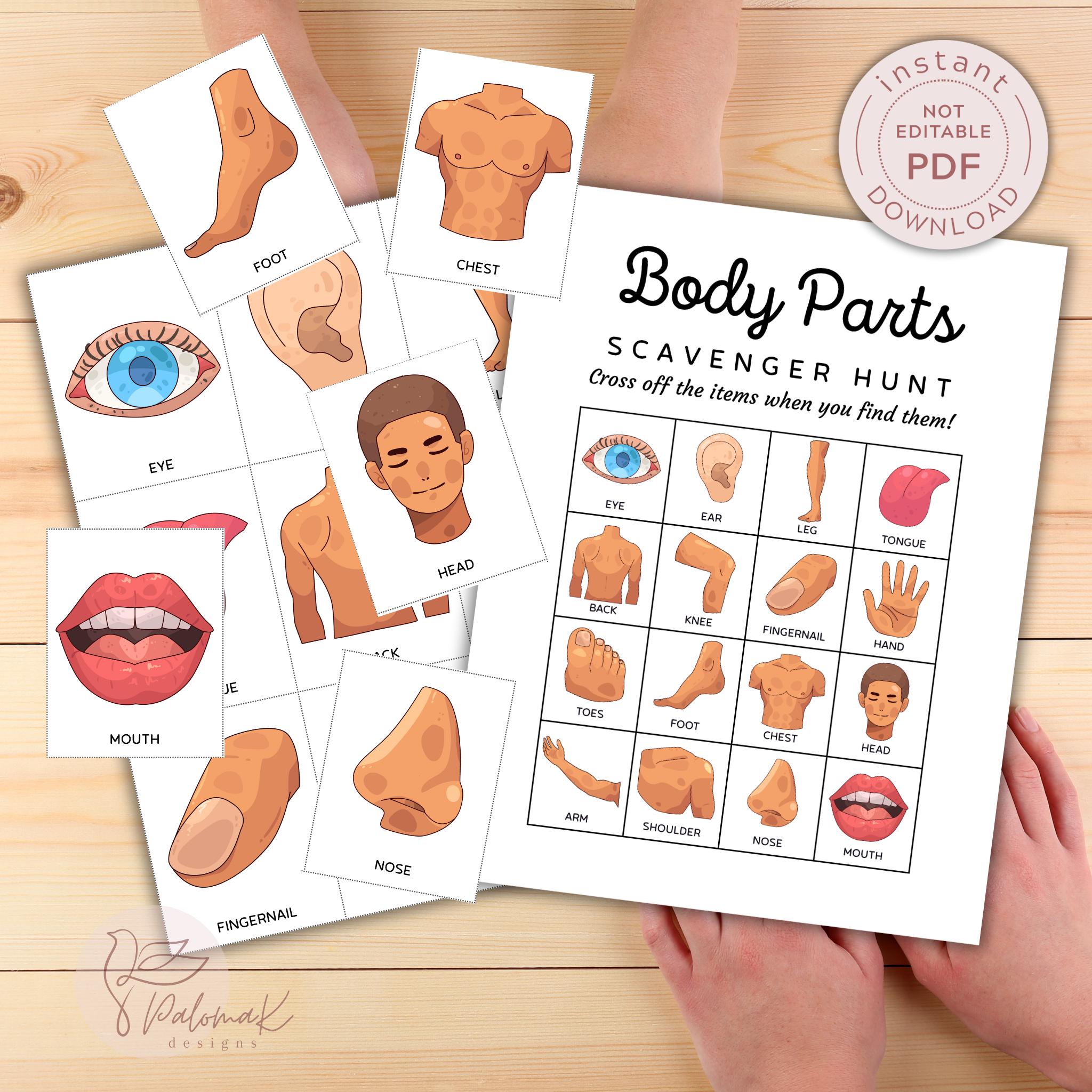 Human Body Parts Scavenger Hunt Activity for Kids (PDF Download) - Etsy