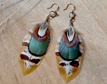 May include: A pair of feather earrings with brown, white, green, and black feathers. The earrings have gold hooks.