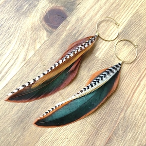 Feather earrings in natural warm colours, rooster, boho, hoops, hypoallergenic. Feather species: Gallus domesticus.