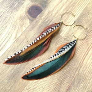 Feather earrings in natural warm colours, rooster, boho, feathers on hoops, hypoallergenic, white black stripes, statement, handmade, light image 1