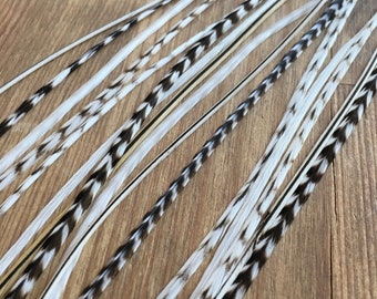 May include: A collection of white and black feathers with a chevron pattern. The feathers are arranged in a row on a wooden surface.