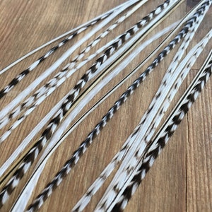 White and black feather hair extension clip or diy kit. 4 single bonded feathers. Great for blondes! Type: gallus domesticus.