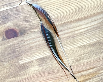 May include: A pair of long feather earrings with a silver chain. The feathers are black, white, and brown.
