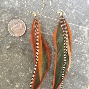 Feather earrings in natural warm colours, rooster, boho, feathers on hoops, hypoallergenic, white black stripes, statement, handmade, light image 7