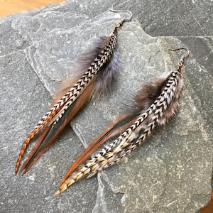 Feather drop earrings in natural warm colours, 4-6" long. Feather type: gallus domesticus.