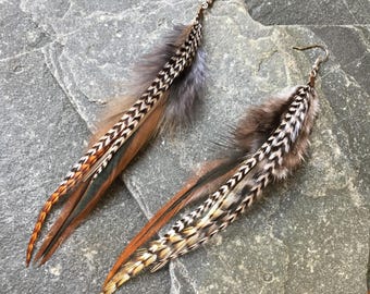 Feather drop earrings in natural warm colours, 4-6" long. Feather type: gallus domesticus.