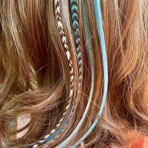 Kit d'extensions de cheveux Blue Feather : plumes de coq naturelles, bricolage