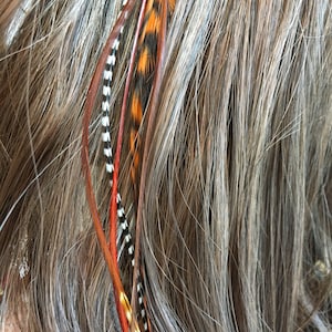 May include: A set of colorful feather hair extensions in brown, orange, white, and red. The feathers are attached to a clear string and can be used to add a touch of color and style to any hairstyle.