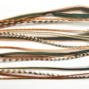 May include: A set of brown, white, and green feathers with a chevron pattern. The feathers are arranged in a row and are ready to be used for crafting or decorating.