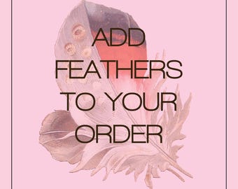 May include: A pink square graphic with a detailed illustration of a feather. The feather is a mix of red, white, and brown. Text in the center reads "ADD FEATHERS TO YOUR ORDER" in a dark brown font.
