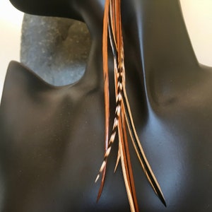 Long Feather Earrings: Warm Natural Colors, Hypoallergenic Steel Hooks
