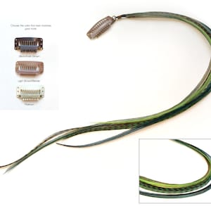 Feather hair extension clip with green colored feathers in varying tones and hues. Feather type: gallus domesticus.