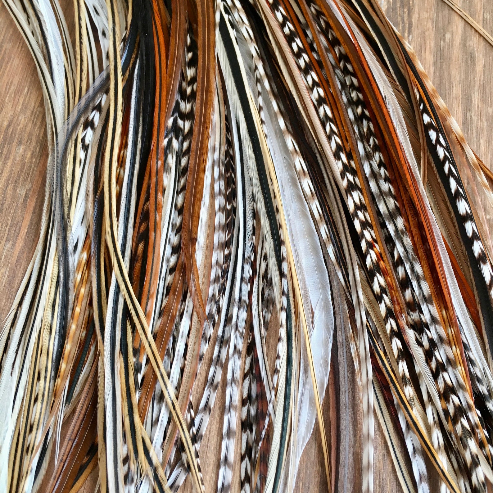 10 Premium Feather Extension Kit With Crimp Beads Threader Etsy