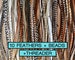 10 Premium Feather Extension Kit with crimp beads + threader + instructions. Surprise mix of natural colored 8'-12' feather hair extensions. 